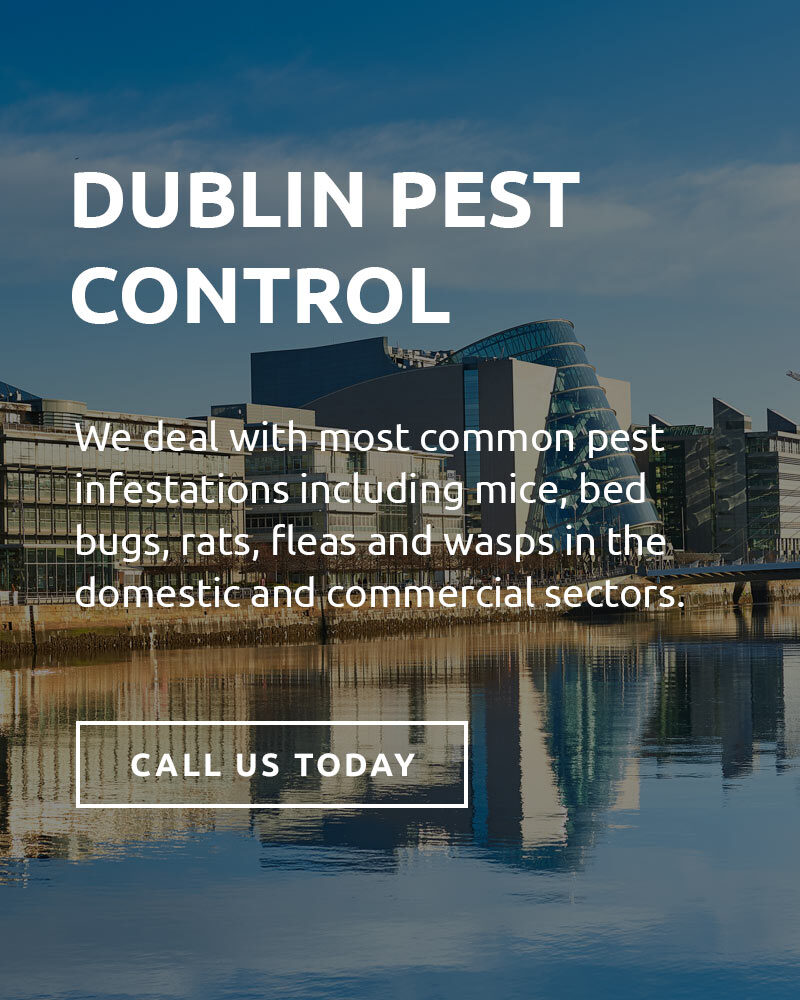 Dublin pest control