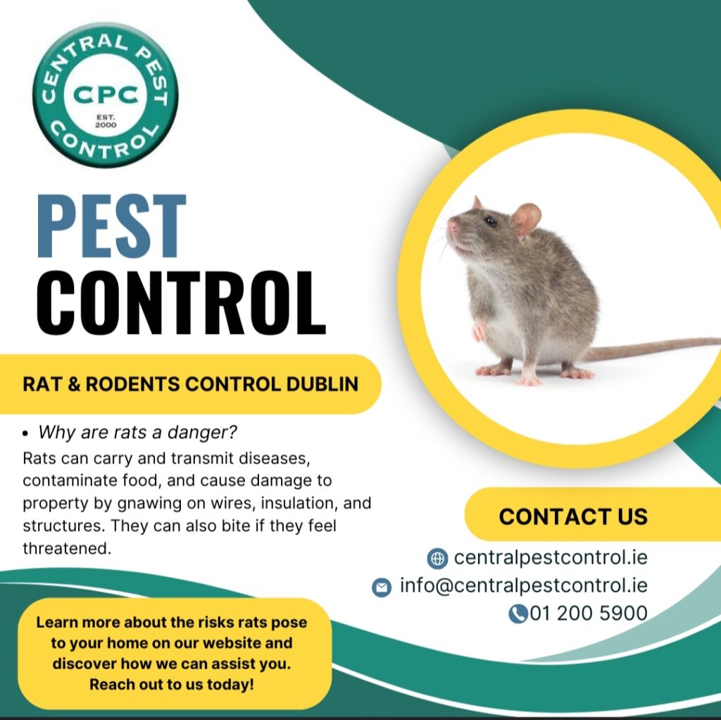 How to get rid of Rats