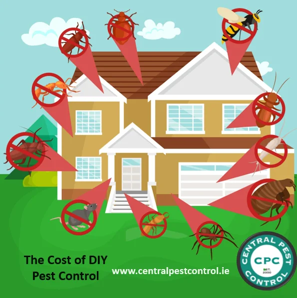 The Cost of DIY Pest Control Blog 2024
