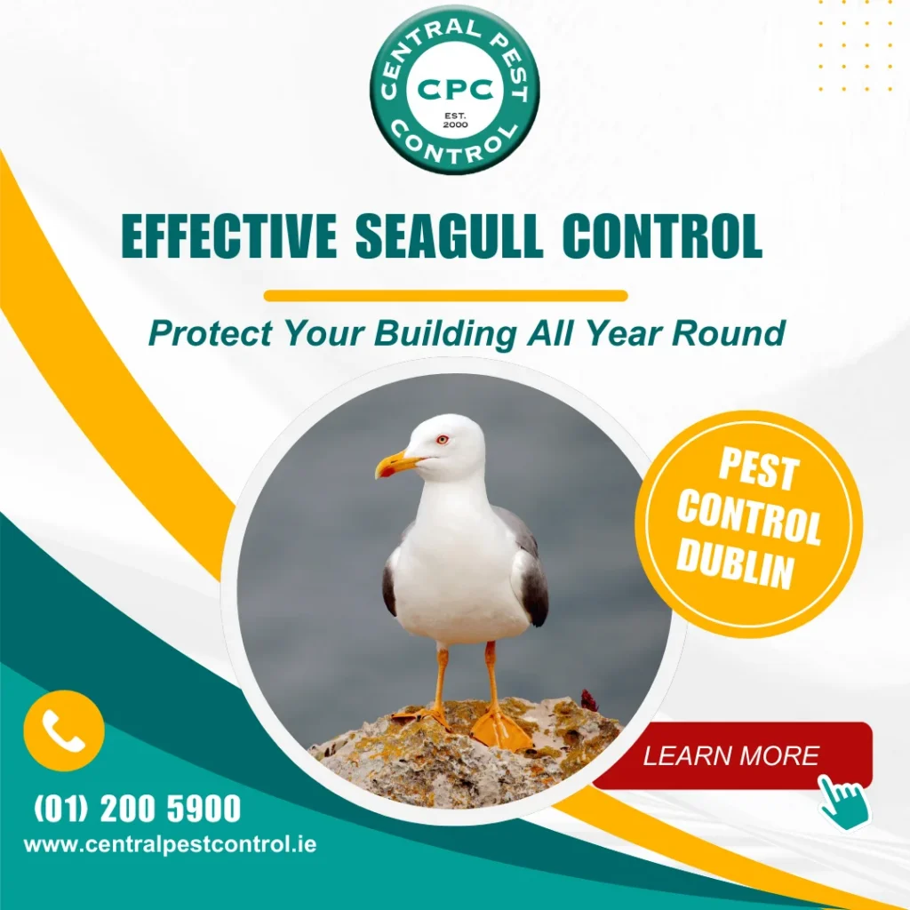 Central Pest Control Graphic