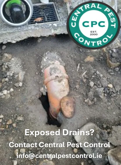 Drains CPC
