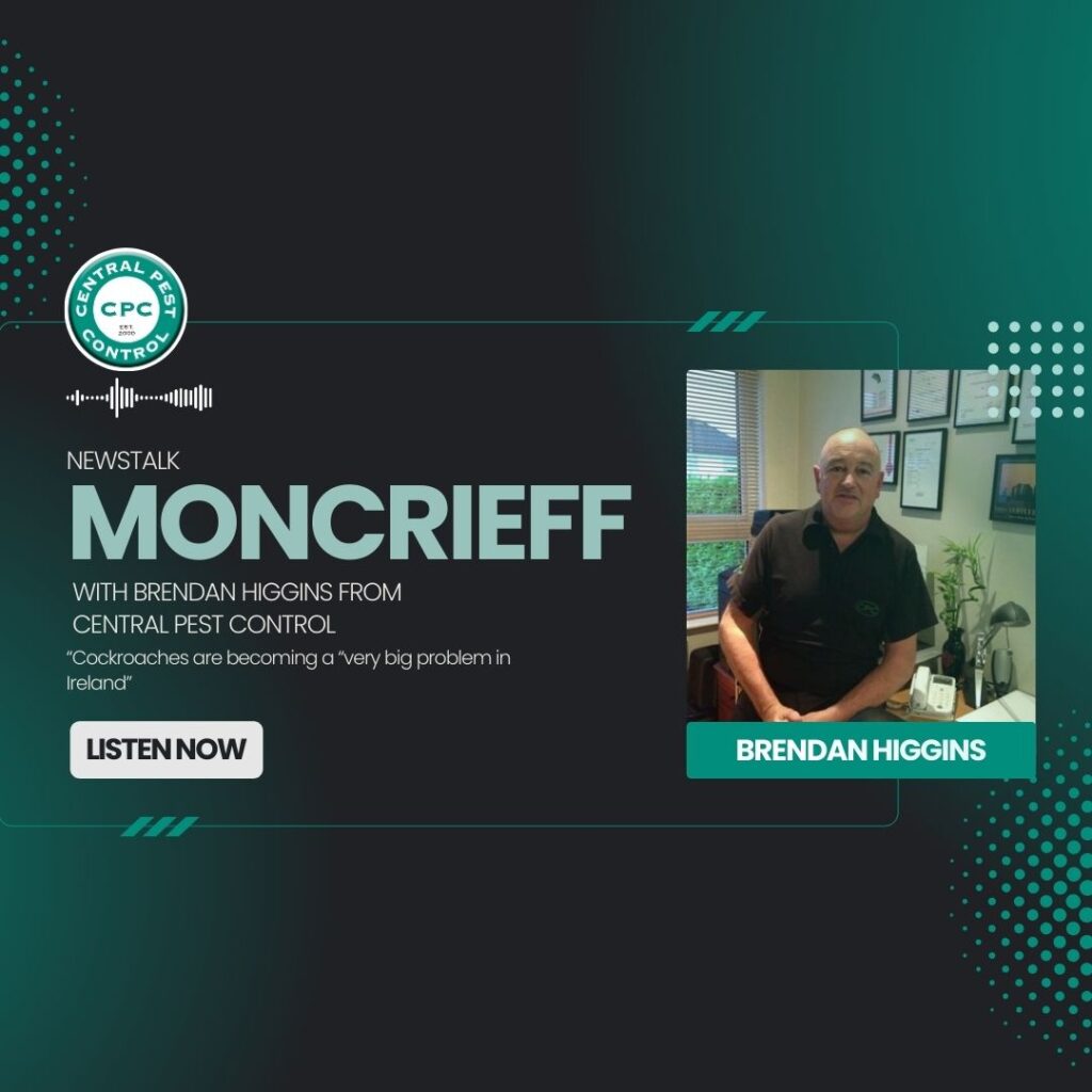 Brendan Higgins on Newstalk's Moncrieff Show