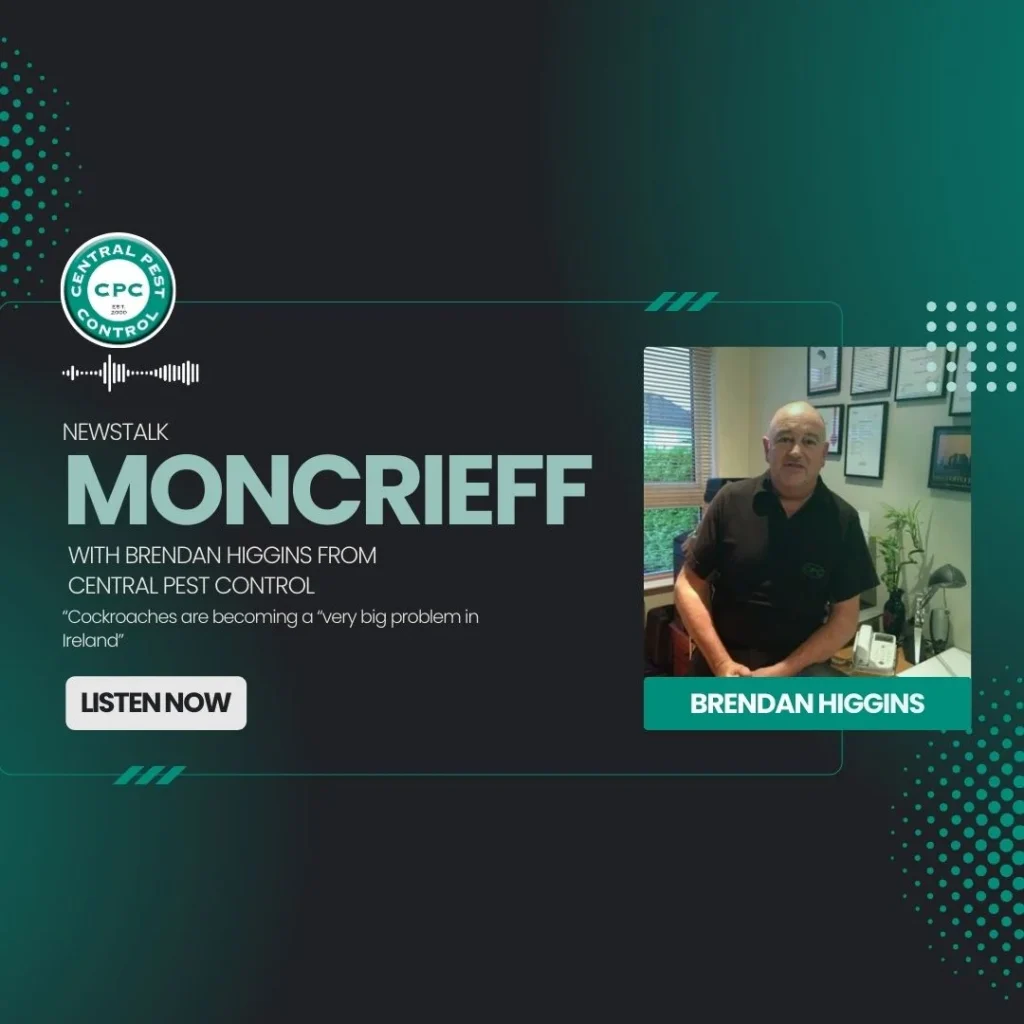 Moncreiff and Brendan Higgins Graphic Use