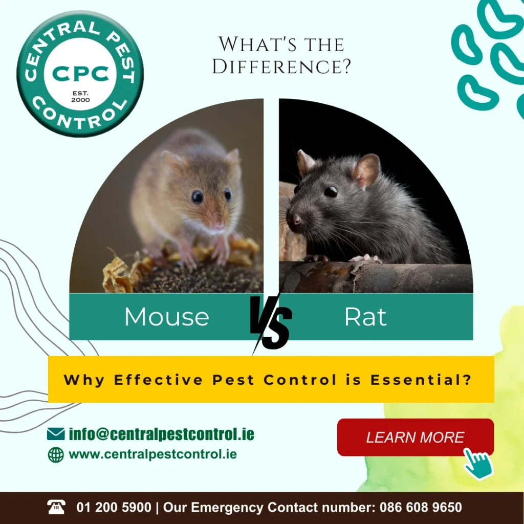 Central Pest Control Blog Graphic