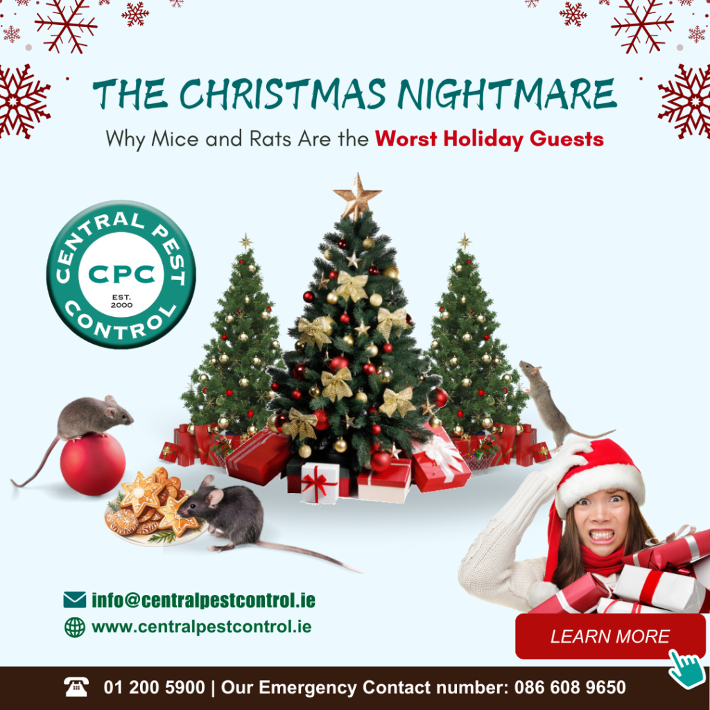 The Christmas Nightmare: Why Mice and Rats Are the Worst Holiday Guests
