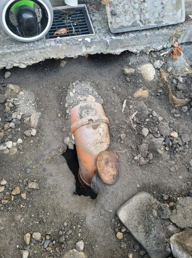 Rodent Drain Survey 624x841 1