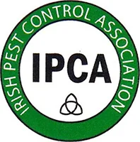 big ipca