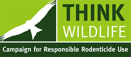 big think wildlife
