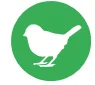 birds
