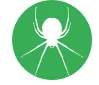 false black widow