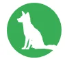 foxes