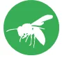 hornet