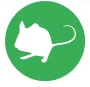 house mouse