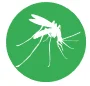 Mosquitoes