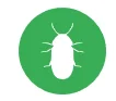 Stored Product Insects SPIs
