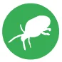 harvest mite