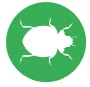 ladybirds