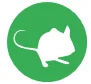 mice