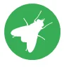 stable fly