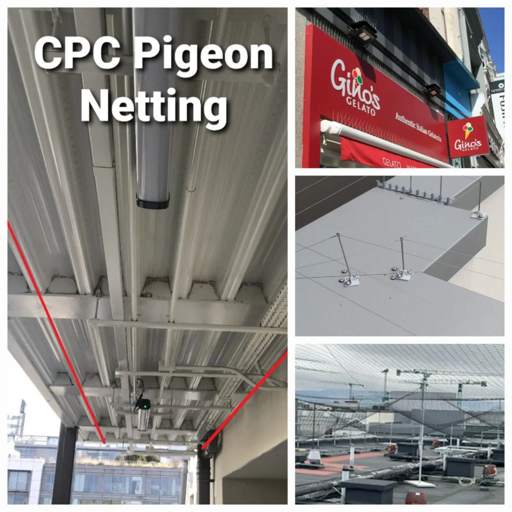 Bird Proofing by Central Pest Control scaled 1