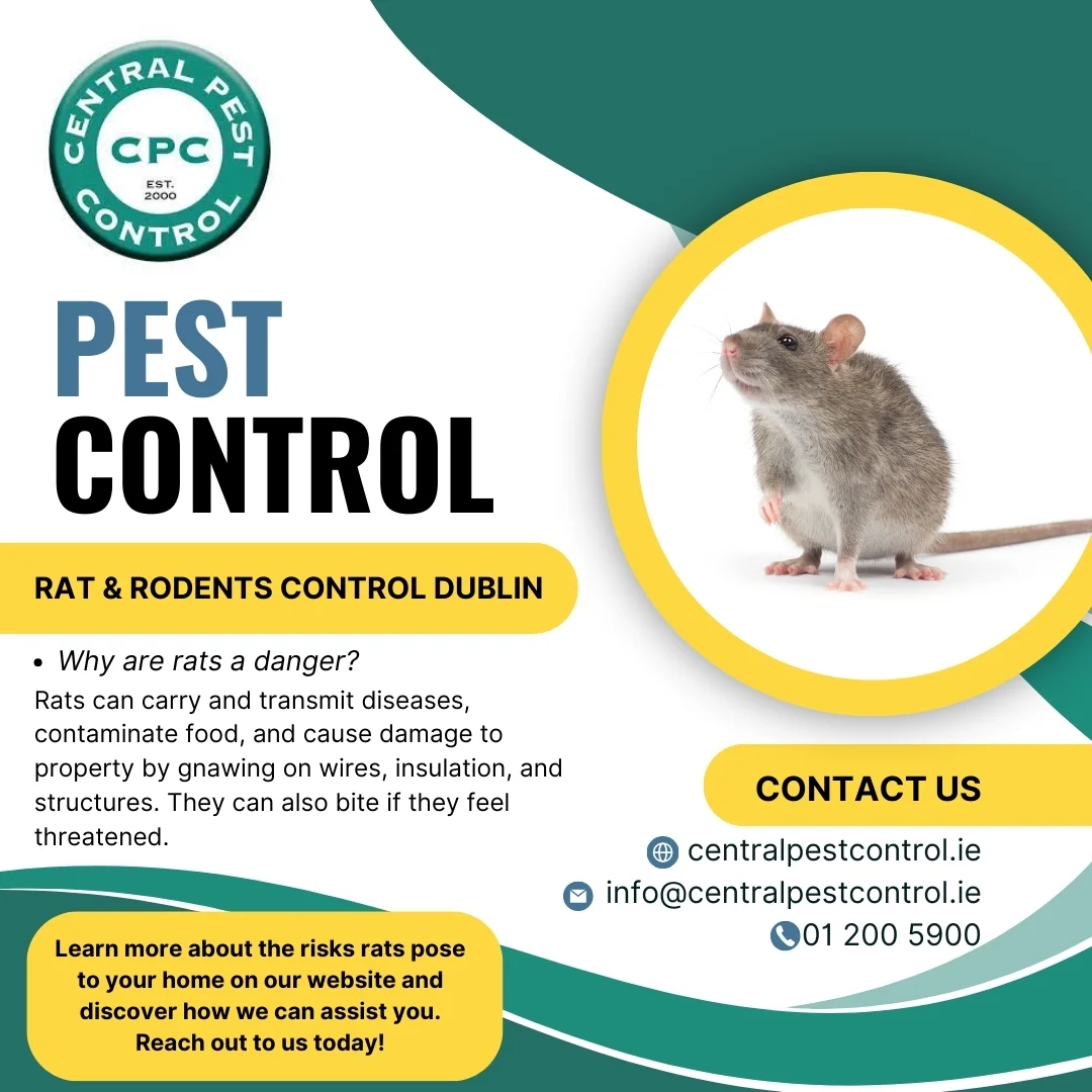 Central Pest Control Graphic Rodents