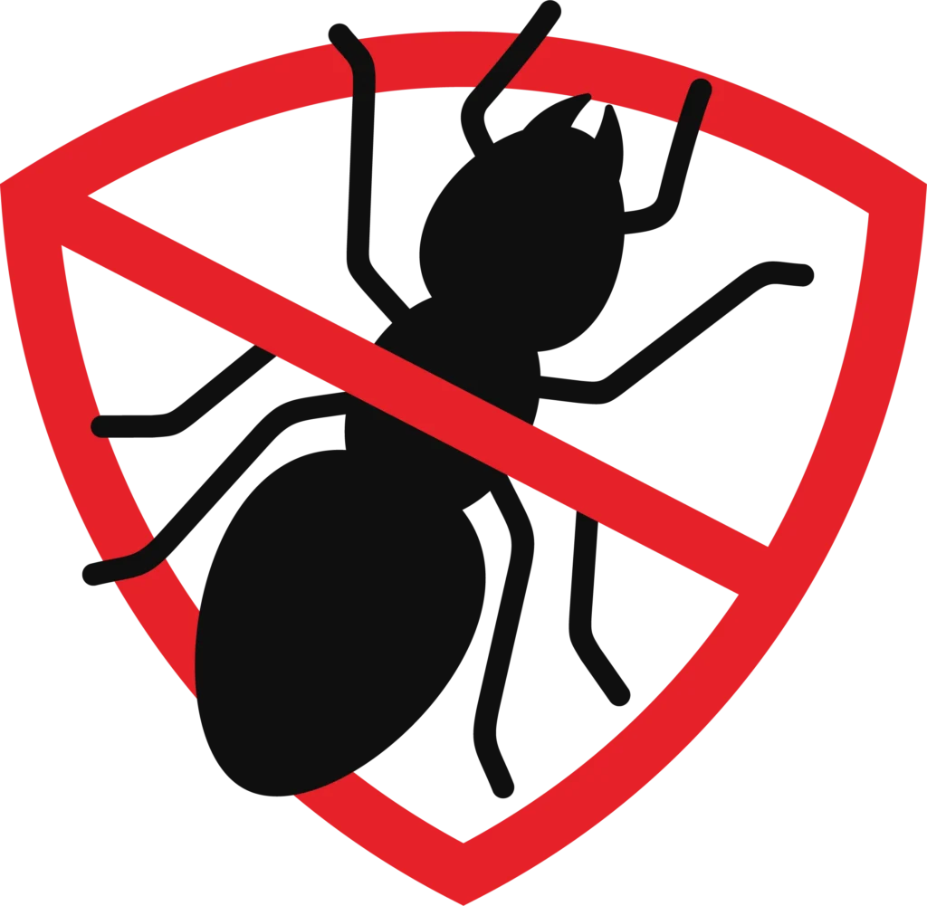 Ant