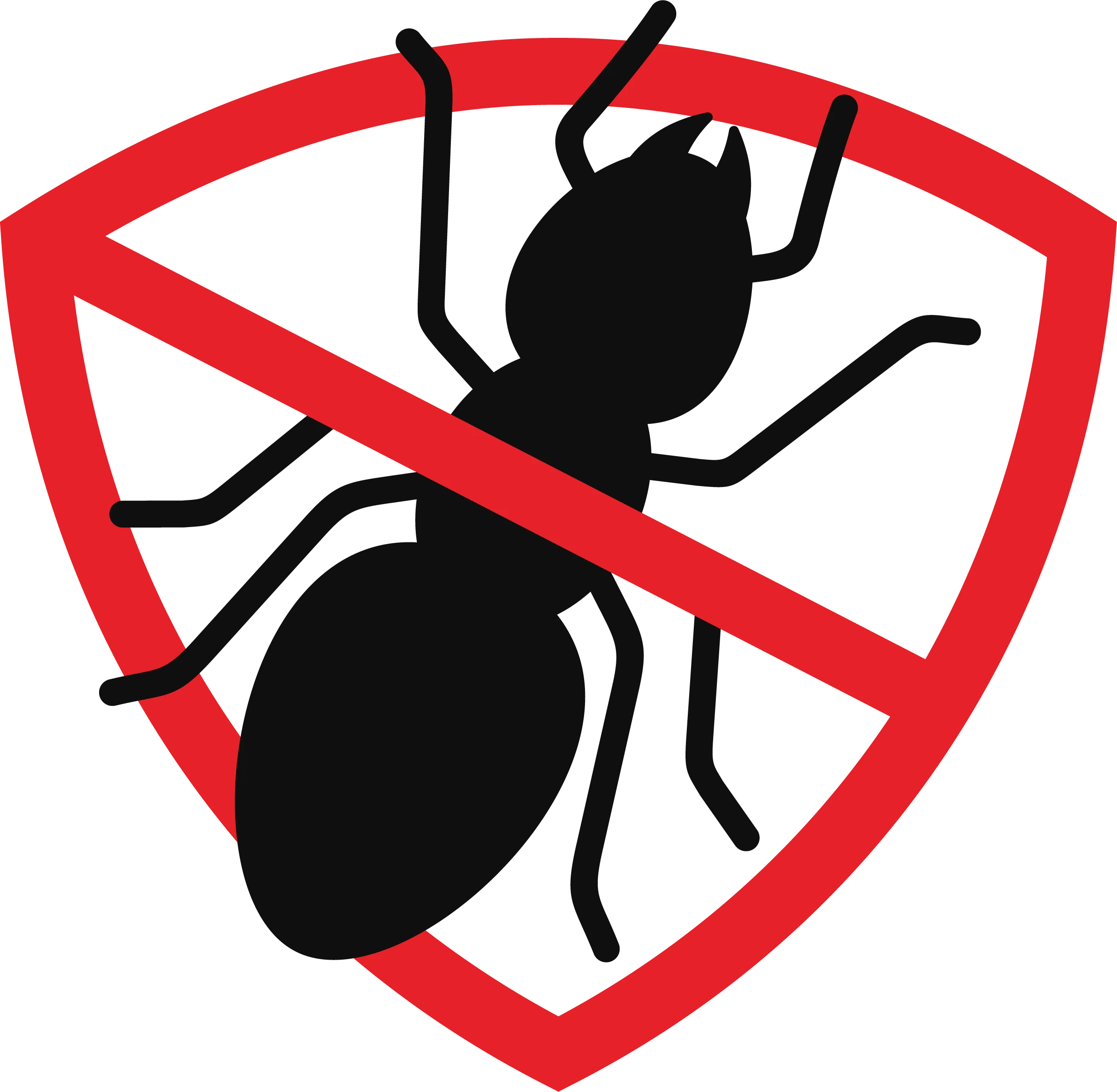 Ant