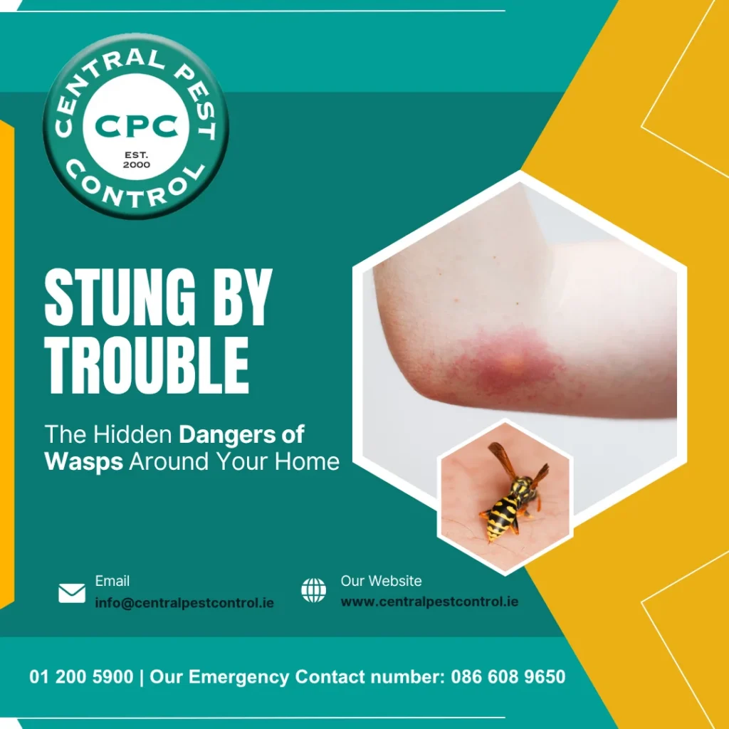 Client Approved Central Pest Control Stung by Trouble The Hidden Dangers of Wasps Around Your Home Graphic V2