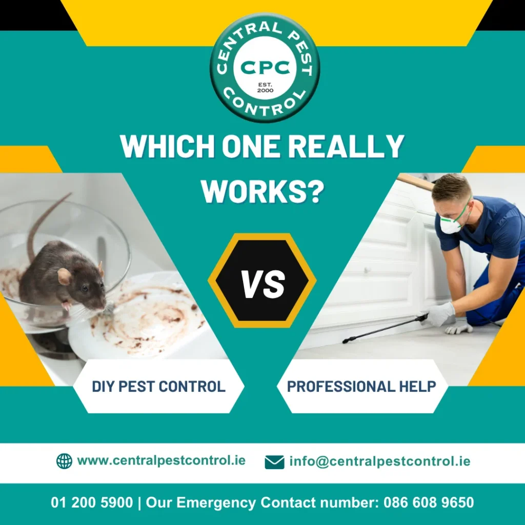 Which One Really Works DIY Vs Professional Help