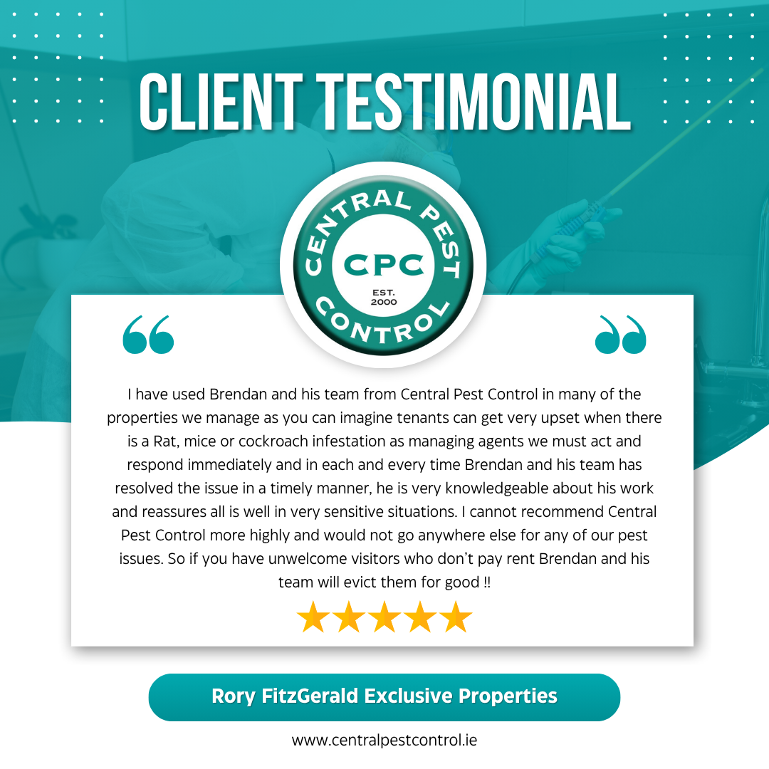 A pest control expert-also known as a pest control technician or exterminator-is a trained professional who specializes in identifying, managing, and eliminating unwanted pests from homes, businesses, and public spaces.