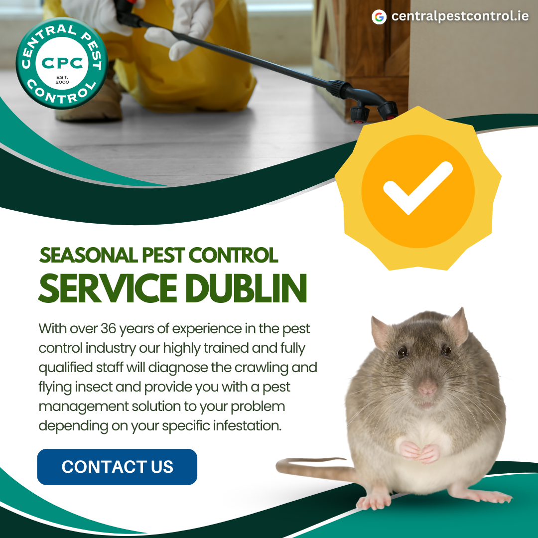 How to Pest-Proof Your Home This Autumn | Central Pest Control Ireland