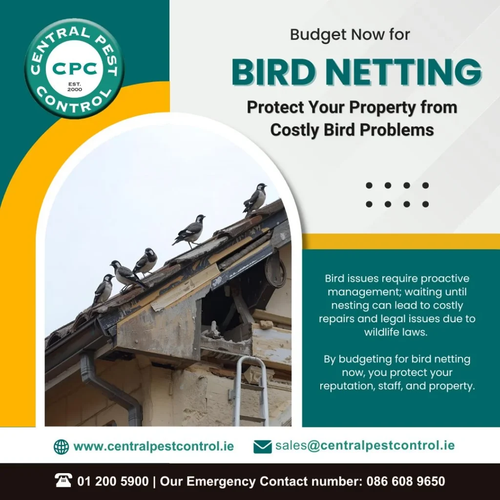 Client Approved CPC Bird Netting