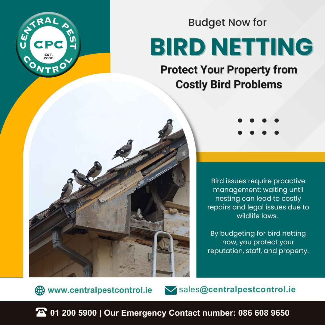 Budget Now for Bird Netting: Protect Your Property from Costly Bird Problems