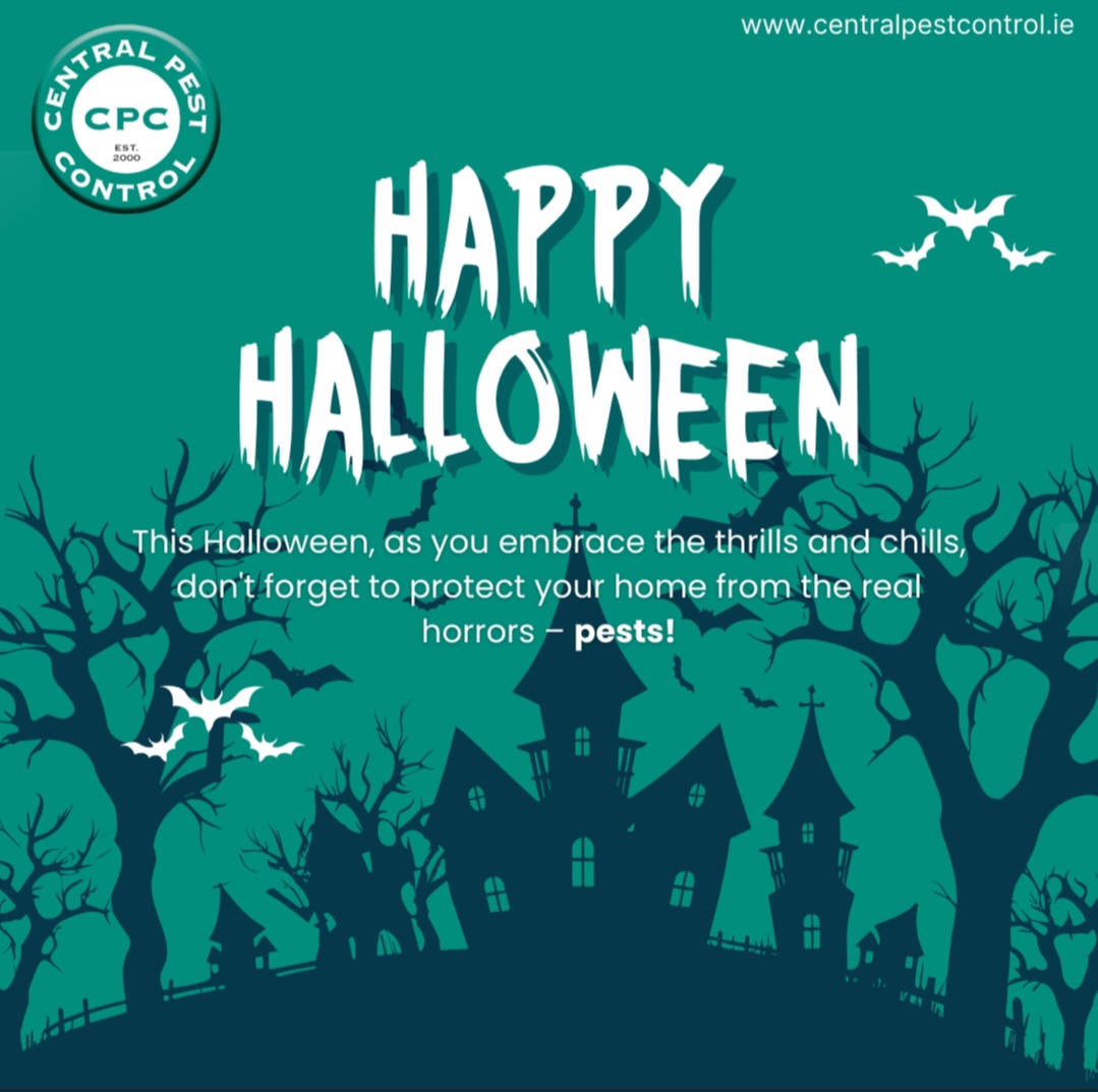 • Halloween pest control tips