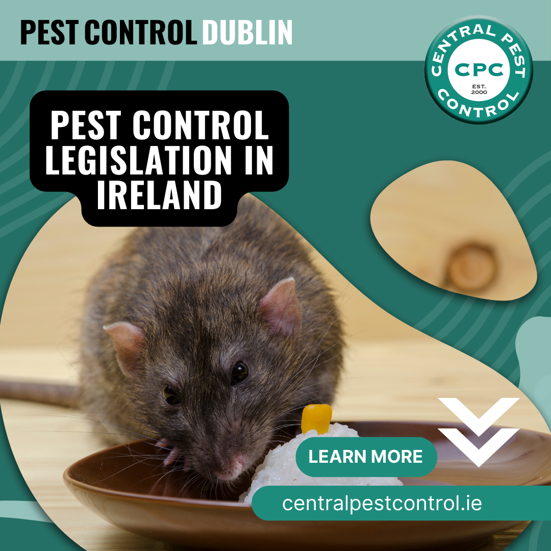 Pests don’t just cause inconvenience — they can lead to regulatory violations, food contamination, and reputational damage. Autumn is the perfect time to review your pest control strategy.