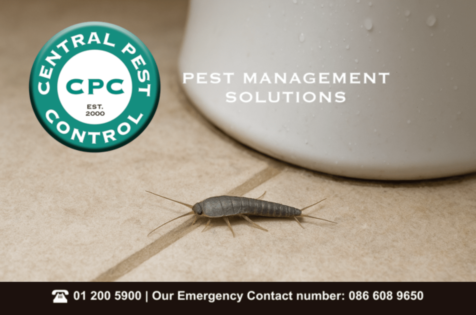 bathroom-silverfish-prevention-central-pest-control