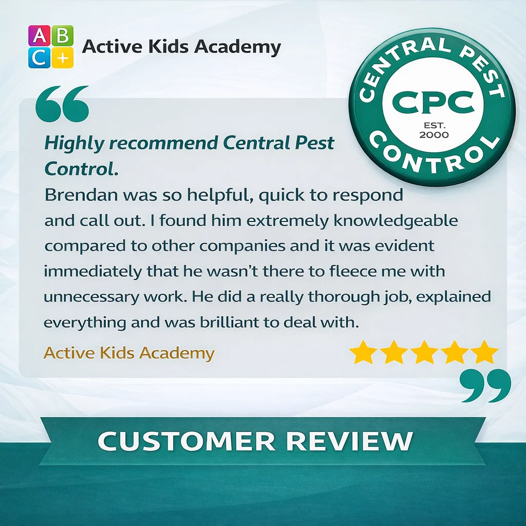 Active Kids Review Social Media