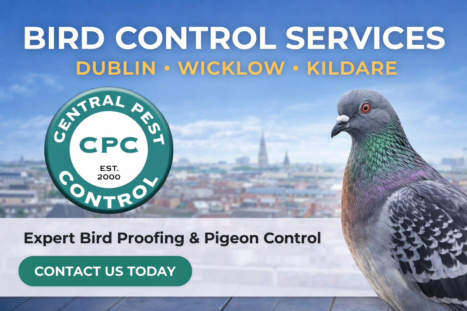 Professional Bird Control Services in Dublin, Wicklow & Kildare