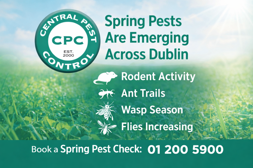At Central Pest Control, we help homeowners, landlords, and businesses stop infestations before they become costly problems.