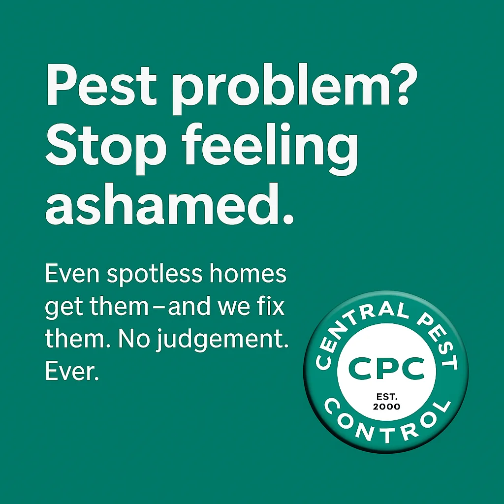 Pest Problem 2