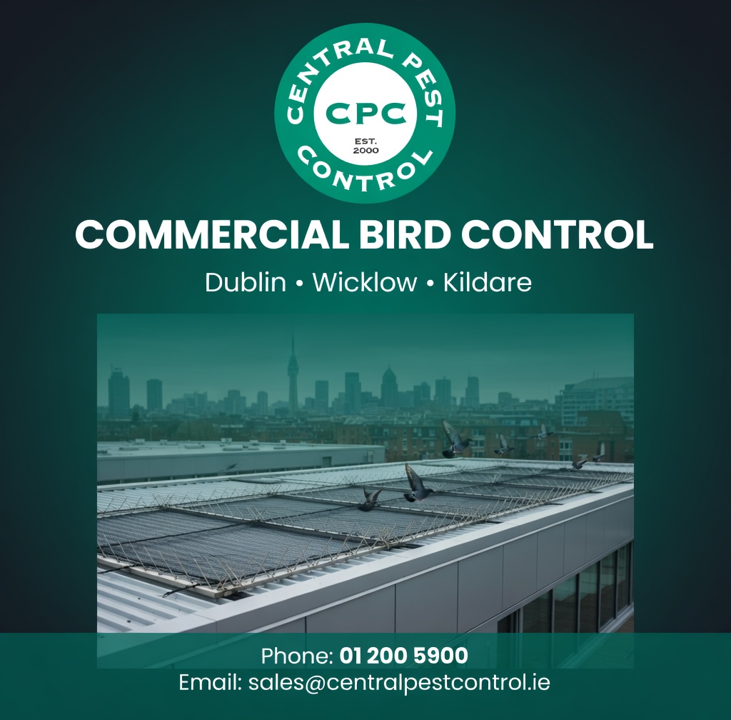 🚫 Pigeons & Seagulls costing your business thousands?