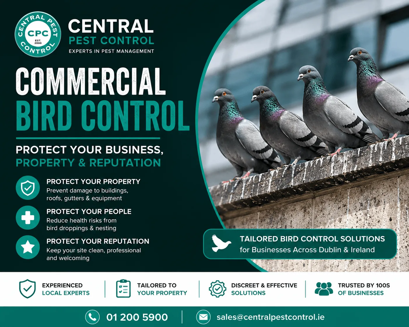 commercial bird control