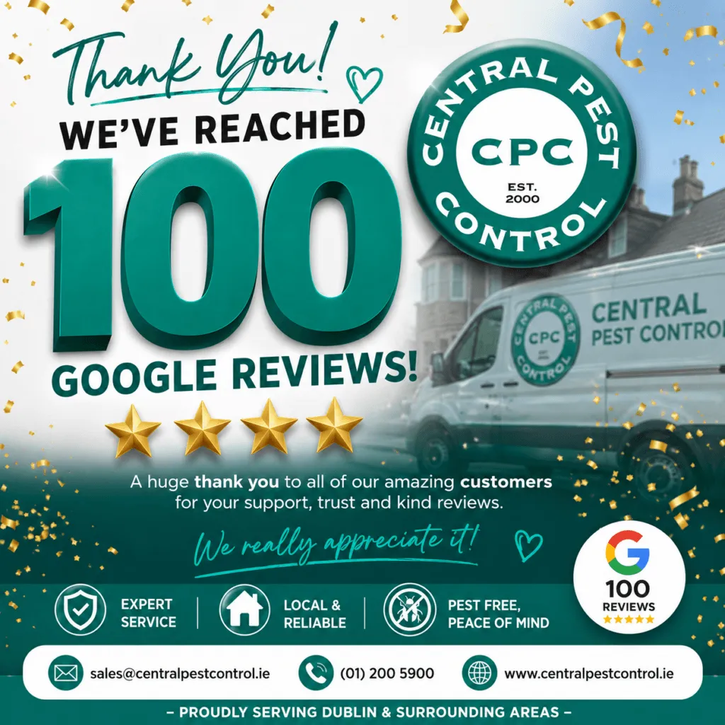 Choosing a pest control company
