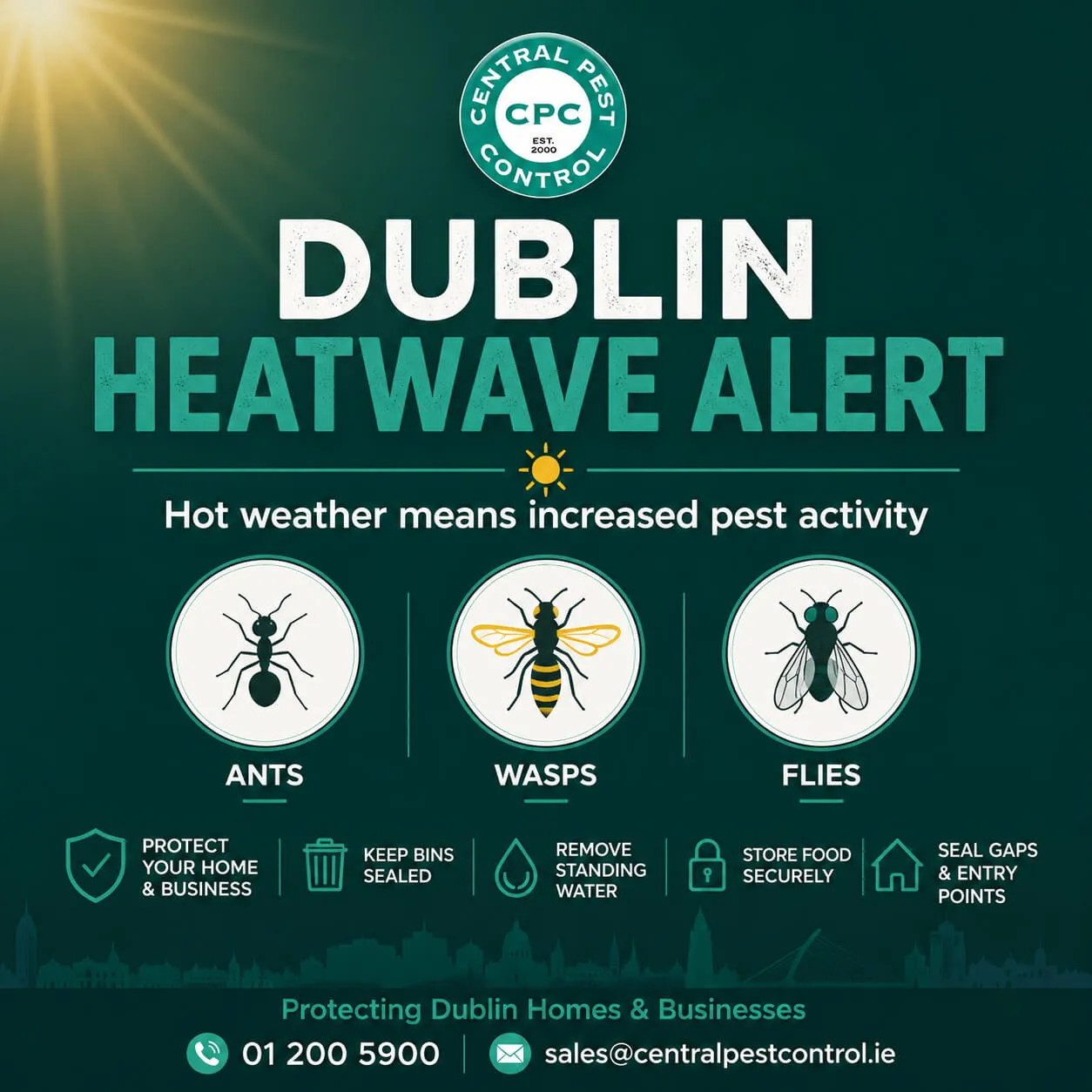 Central Pest Control provides professional pest control services across Dublin and surrounding areas.