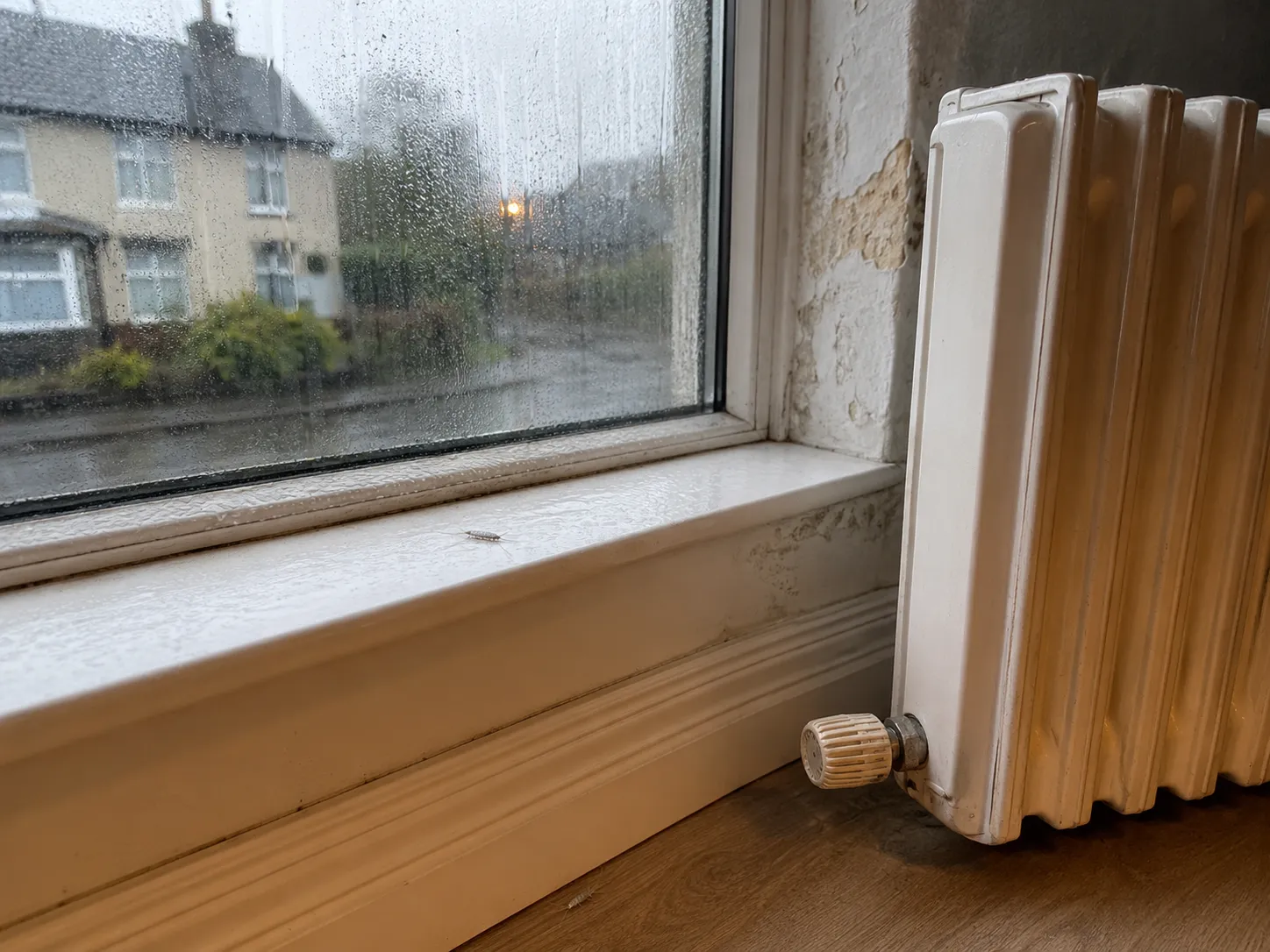 Radiator below damp window during silverfish season 