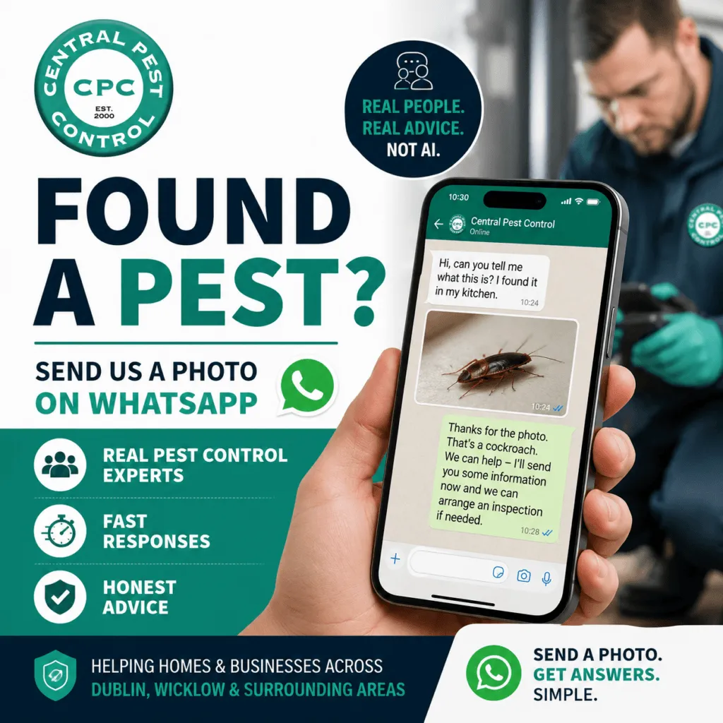 pest control experts across Dublin and Wicklow.