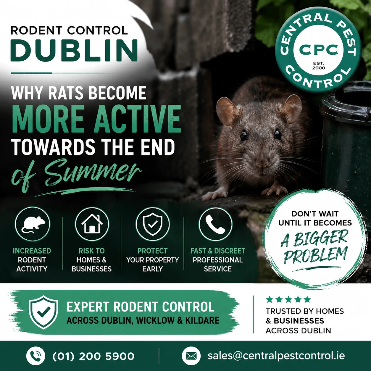 Rodents Summer Rodents control end Summer