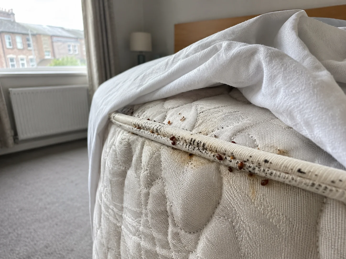 Signs of bed bugs on a mattress in a rented Dublin apartment