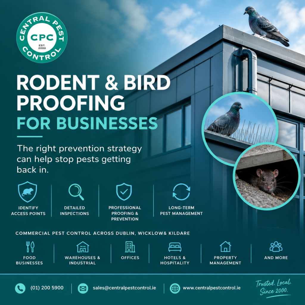 Rodent & Bird Proofing for Businesses | Central Pest Control