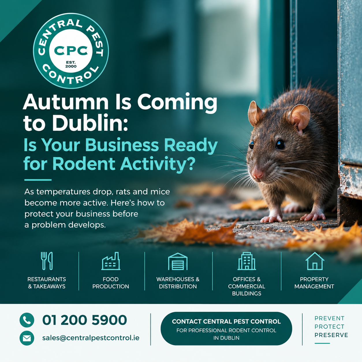 Autumn Rodent Control Dublin | Protect Your Business